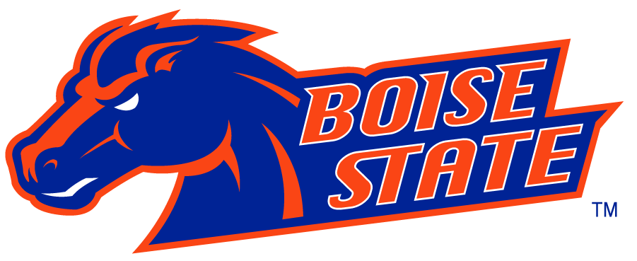 Boise State Broncos 2002-2012 Secondary Logo v7 iron on transfers for clothing